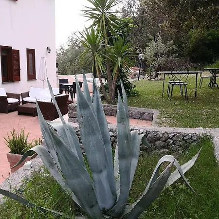 Bed and Breakfast Il Carrubo