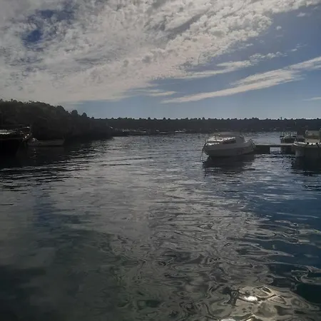 Il Carrubo